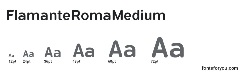 Размеры шрифта FlamanteRomaMedium