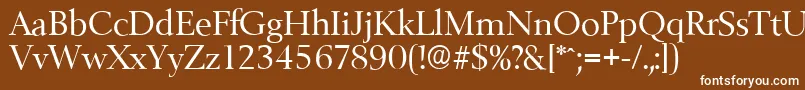 BelfastserialRegular Font – White Fonts on Brown Background