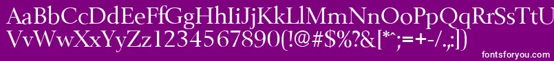 BelfastserialRegular Font – White Fonts on Purple Background