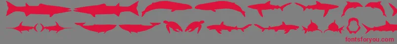 GiantsOfTheSea Font – Red Fonts on Gray Background