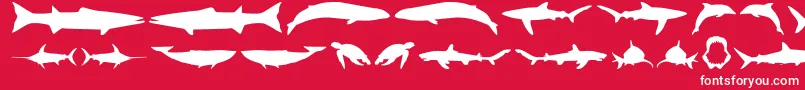 GiantsOfTheSea Font – White Fonts on Red Background