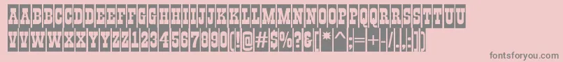 Weitere Informationen zur GildiatitulcmBold-Schriftart GildiatitulcmBold-Schriftart – Graue Schriften auf rosa Hintergrund