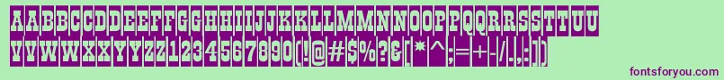 GildiatitulcmBold Font – Purple Fonts on Green Background