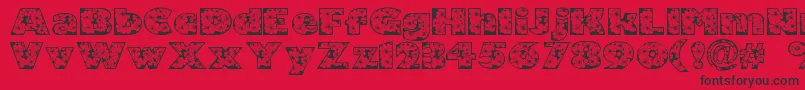 Zensyrom Font – Black Fonts on Red Background