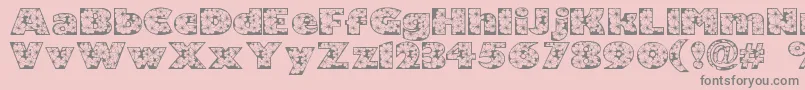 Zensyrom Font – Gray Fonts on Pink Background