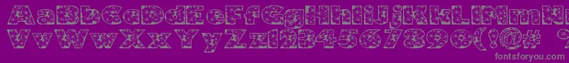 Zensyrom Font – Gray Fonts on Purple Background