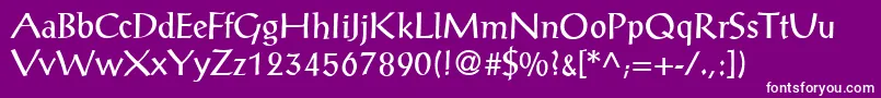 P790RomanRegular Font – White Fonts on Purple Background