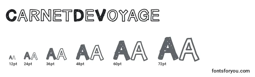 Размеры шрифта CarnetDeVoyage