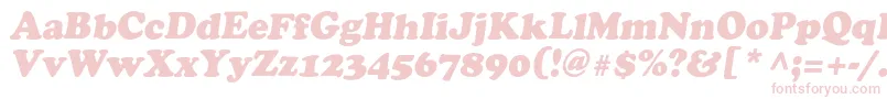 AgcrowncItalic Font – Pink Fonts on White Background