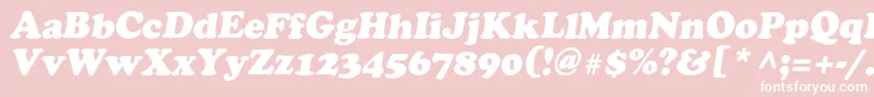 AgcrowncItalic Font – White Fonts on Pink Background