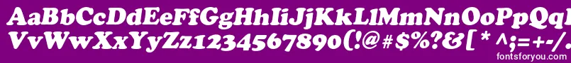 AgcrowncItalic Font – White Fonts on Purple Background