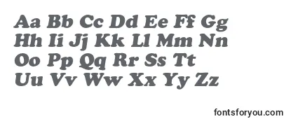 AgcrowncItalic Font