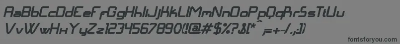 LangГіBolditalic Font – Black Fonts on Gray Background