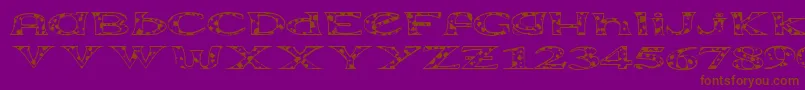Extravac Font – Brown Fonts on Purple Background