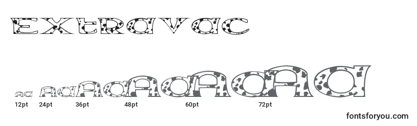 Extravac Font Sizes