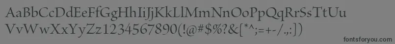 BriosoproMediumdisp Font – Black Fonts on Gray Background