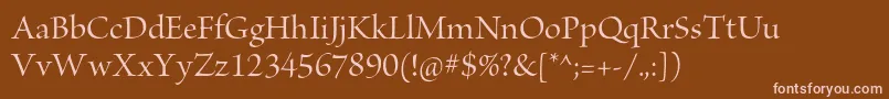 BriosoproMediumdisp Font – Pink Fonts on Brown Background