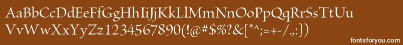 BriosoproMediumdisp Font – White Fonts on Brown Background
