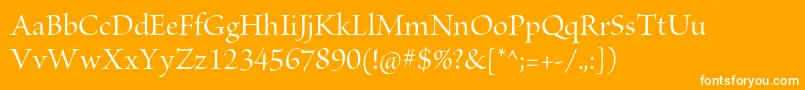 BriosoproMediumdisp Font – White Fonts on Orange Background