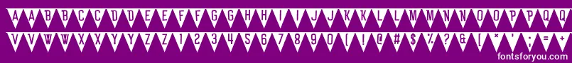 BunTing Font – White Fonts on Purple Background