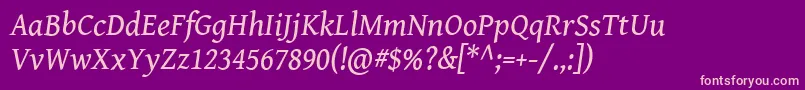 GentiumBookBasicItalic Font – Pink Fonts on Purple Background