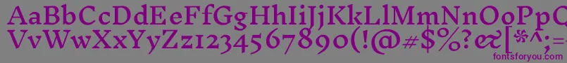 InknutantiquaMedium Font – Purple Fonts on Gray Background