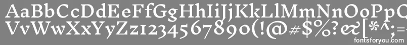 フォントInknutantiquaMedium – 灰色の背景に白い文字