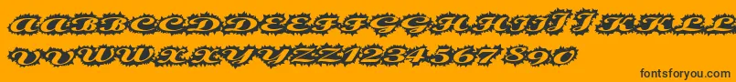 Stellerscript-Schriftart – Schwarze Schriften auf orangefarbenem Hintergrund