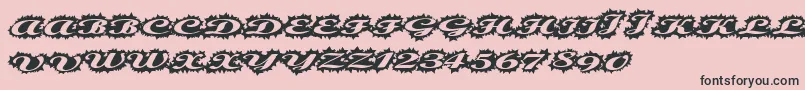 Stellerscript-Schriftart – Schwarze Schriften auf rosa Hintergrund