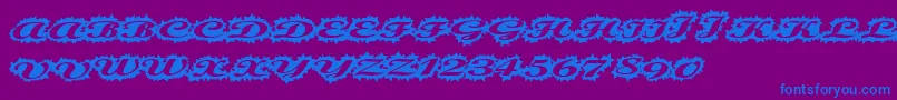 Stellerscript Font – Blue Fonts on Purple Background