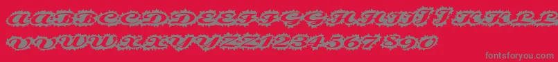 Шрифт Stellerscript – серые шрифты на красном фоне