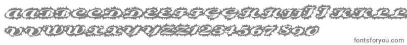 Fonte Stellerscript – fontes cinzentas