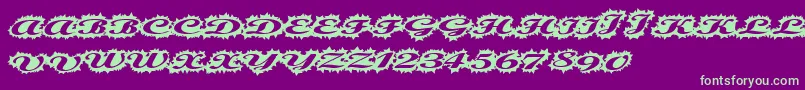 fuente Stellerscript – Fuentes Verdes Sobre Fondo Morado