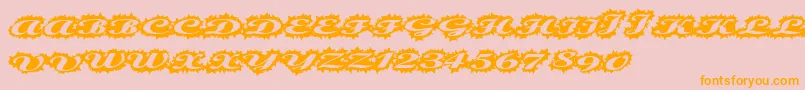 Police Stellerscript – polices orange sur fond rose