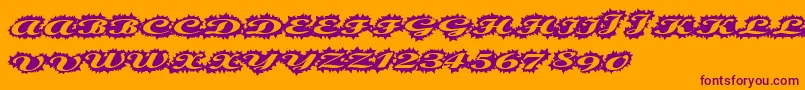 Stellerscript-Schriftart – Violette Schriften auf orangefarbenem Hintergrund