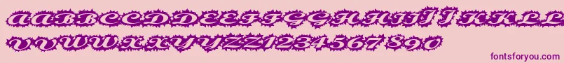 Weitere Informationen zur Stellerscript-Schriftart Stellerscript-Schriftart – Violette Schriften auf rosa Hintergrund