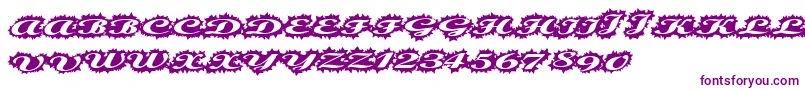 Weitere Informationen zur Stellerscript-Schriftart Stellerscript-Schriftart – Violette Schriften auf weißem Hintergrund