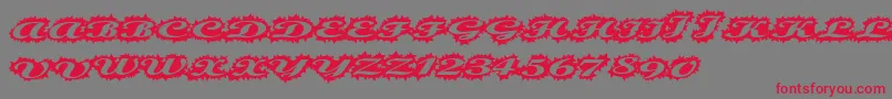 Stellerscript-fontti – punaiset fontit harmaalla taustalla