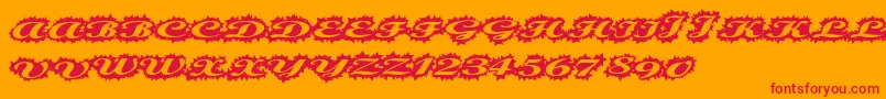 Stellerscript Font – Red Fonts on Orange Background