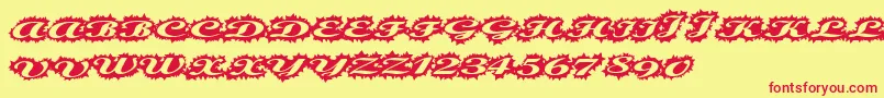 Stellerscript Font – Red Fonts on Yellow Background