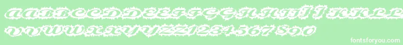 Stellerscript Font – White Fonts on Green Background