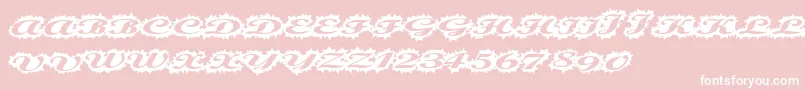 Stellerscript-Schriftart – Weiße Schriften auf rosa Hintergrund