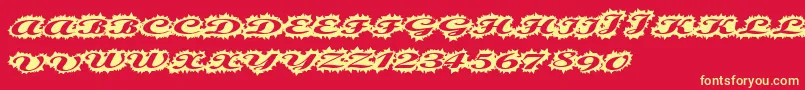 Stellerscript Font – Yellow Fonts on Red Background
