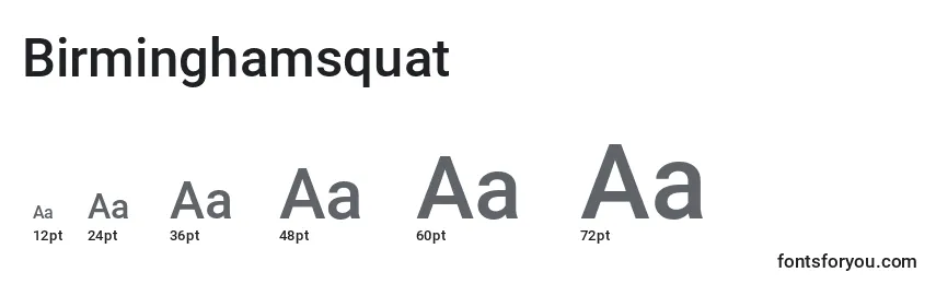 Birminghamsquat Font Sizes