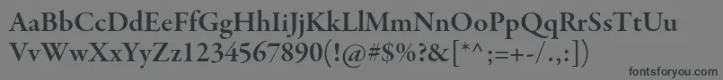 GaramondpremrproSmbdsubh Font – Black Fonts on Gray Background