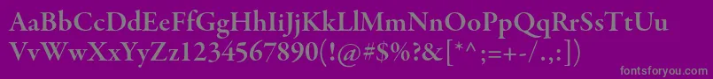 GaramondpremrproSmbdsubh Font – Gray Fonts on Purple Background