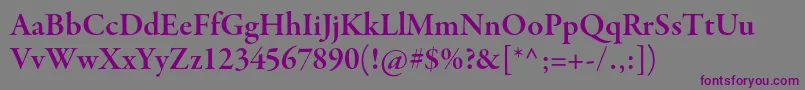 Шрифт GaramondpremrproSmbdsubh – фиолетовые шрифты на сером фоне