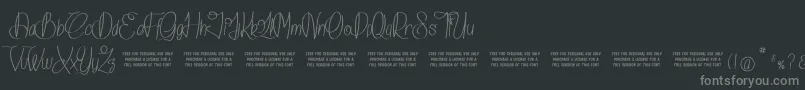 IslandOfDreams Font – Gray Fonts on Black Background