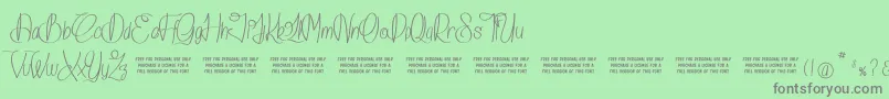 IslandOfDreams Font – Gray Fonts on Green Background