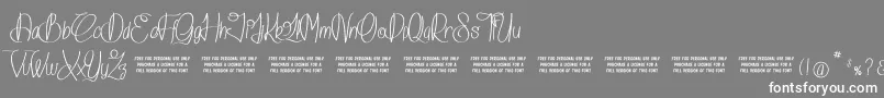 IslandOfDreams Font – White Fonts on Gray Background